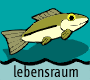 Lebensraum Fluss