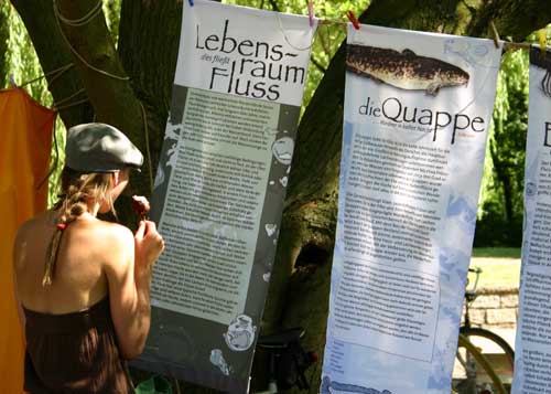 Die Ausstellung "fluss&fisch" auf der Leine